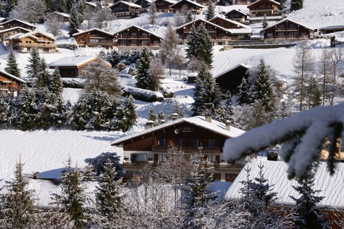 Grand appartement cosy et chaleureux, situation exceptionnelle proche village.