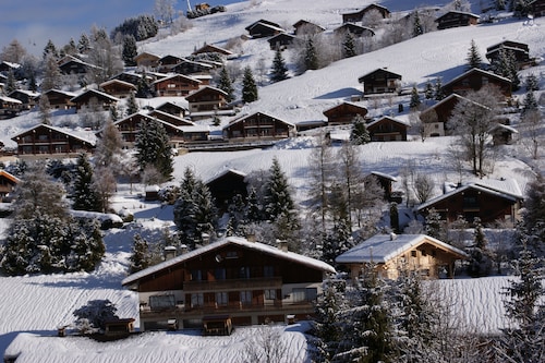 Grand appartement cosy et chaleureux, situation exceptionnelle proche village.