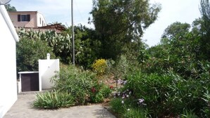 Een tuin met diverse planten en een wit gebouw met een schotelantenne.