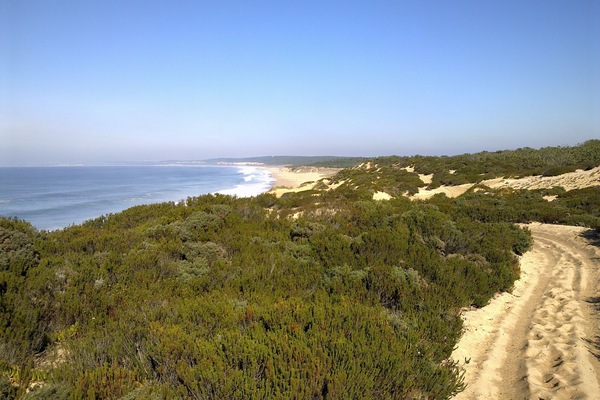 Strand