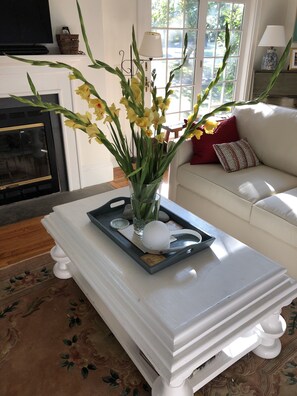 Smart-TV, Kamin, DVD-Player, Bücher