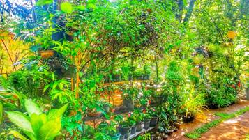 Enceinte de lâhĂ©bergement