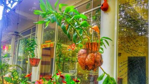 A variety of potted plants and flowers in a storefront window. - Green Garden Resort (Habarana)