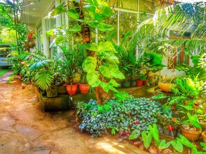 Property grounds - Green Garden Resort (Habarana)