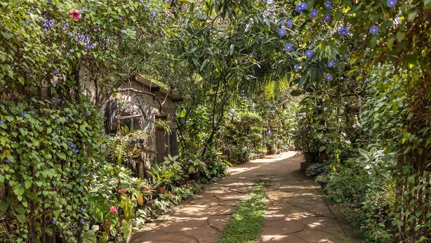 A stone pathway flanked by lush greenery and flowering plants, leading to a rustic wooden structure. - Green Garden Resort (Habarana)