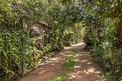 Green Garden Resort
