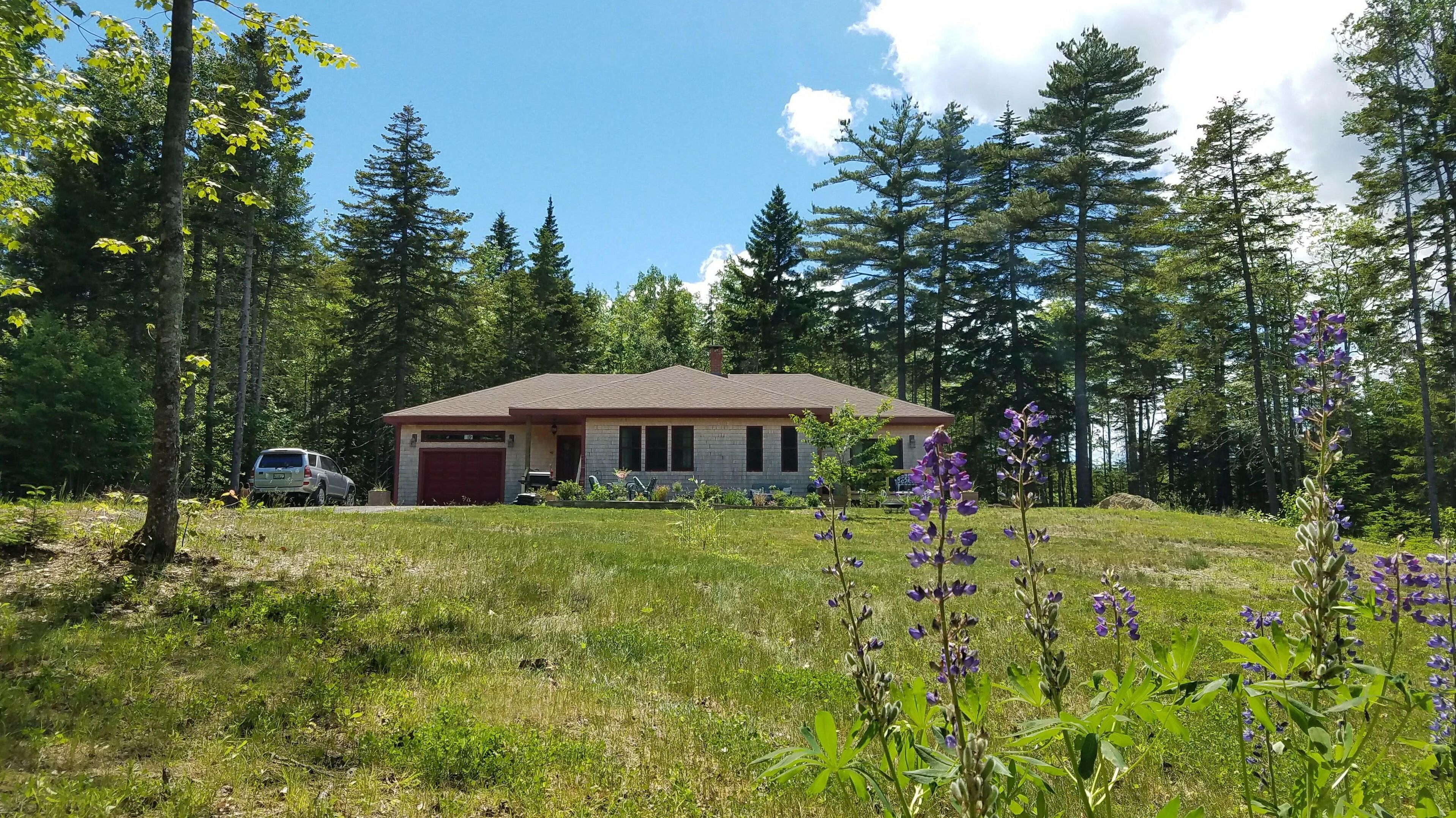 Private, eco- and dog-friendly home tucked away in the woods.
