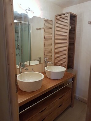 Shower, hair dryer, toilet paper
