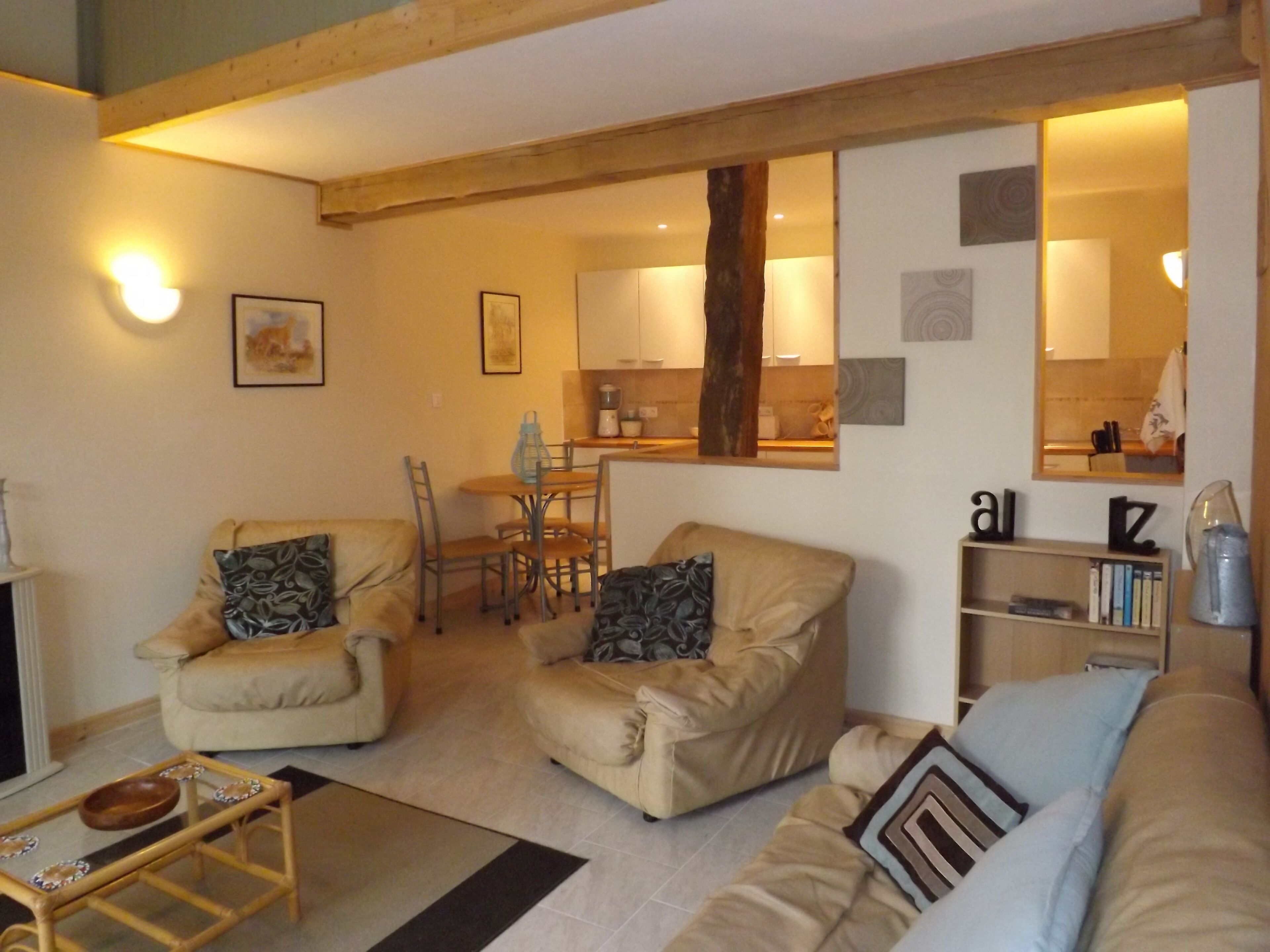 Télévision, lecteur de DVD, table de tennis de table, livres