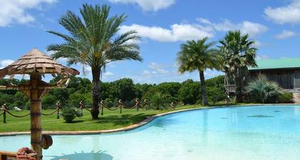 Las Palmas Tree Haus - Cloud Lane