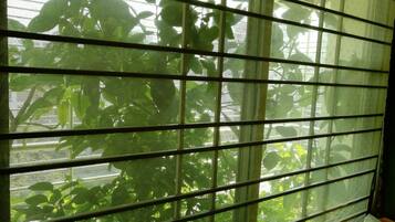 Air Conditioned Mix Dormitory | Exterior detail