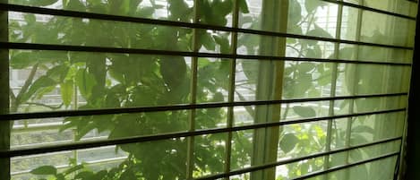 Phòng tập thể Tiêu chuẩn, không hút thuốc, quang cảnh vườn | Chi tiết ngoại thất