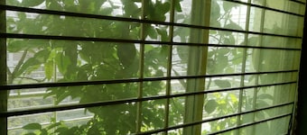 Sabrina's Home - Hostel