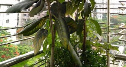 Sabrina's Home - Hostel