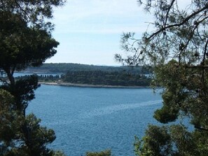 Miscellaneous - Apartment in Štinjan with Seaview, Air condition, WIFI, Washing machine (3326-1) (Štinjan)