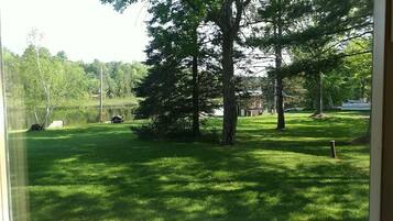 A grassy area with trees and a body of water.
