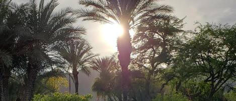 AuĂenpool, beheizter Pool