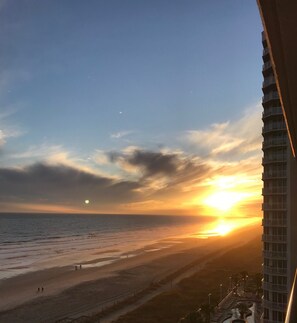 On the beach - 5 STAR Direct Ocean Front  (North Myrtle Beach)