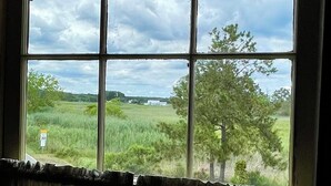 Ventana con vista a un campo de césped y árboles, cortinas entreabiertas y señal de tráfico que indica un límite de velocidad de 30.
