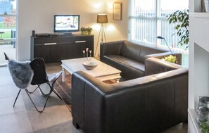 Télévision, cheminée, lecteur de DVD