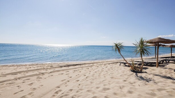 A beach with clear skies, a sandy shore, and a few palm trees. - Gorgeous home in CERET with house a mountain view (CERET)