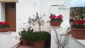 A narrow courtyard with potted plants and a door.