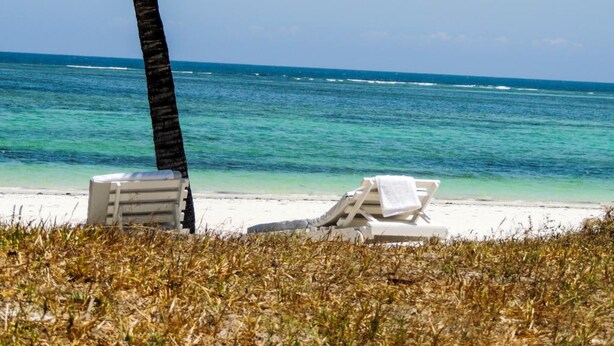 Una playa con dos sillas reclinables blancas y una palmera.