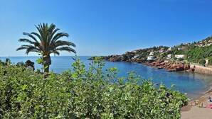 A beach with clear blue water, a palm tree, and houses on a hillside. - Les Flots Bleus (Saint-Raphael)