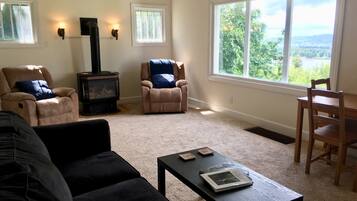 Televisión, chimenea y videojuegos