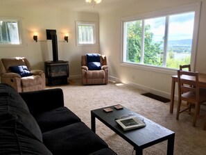 تلفزيون، مدفأة، ألعاب فيديو