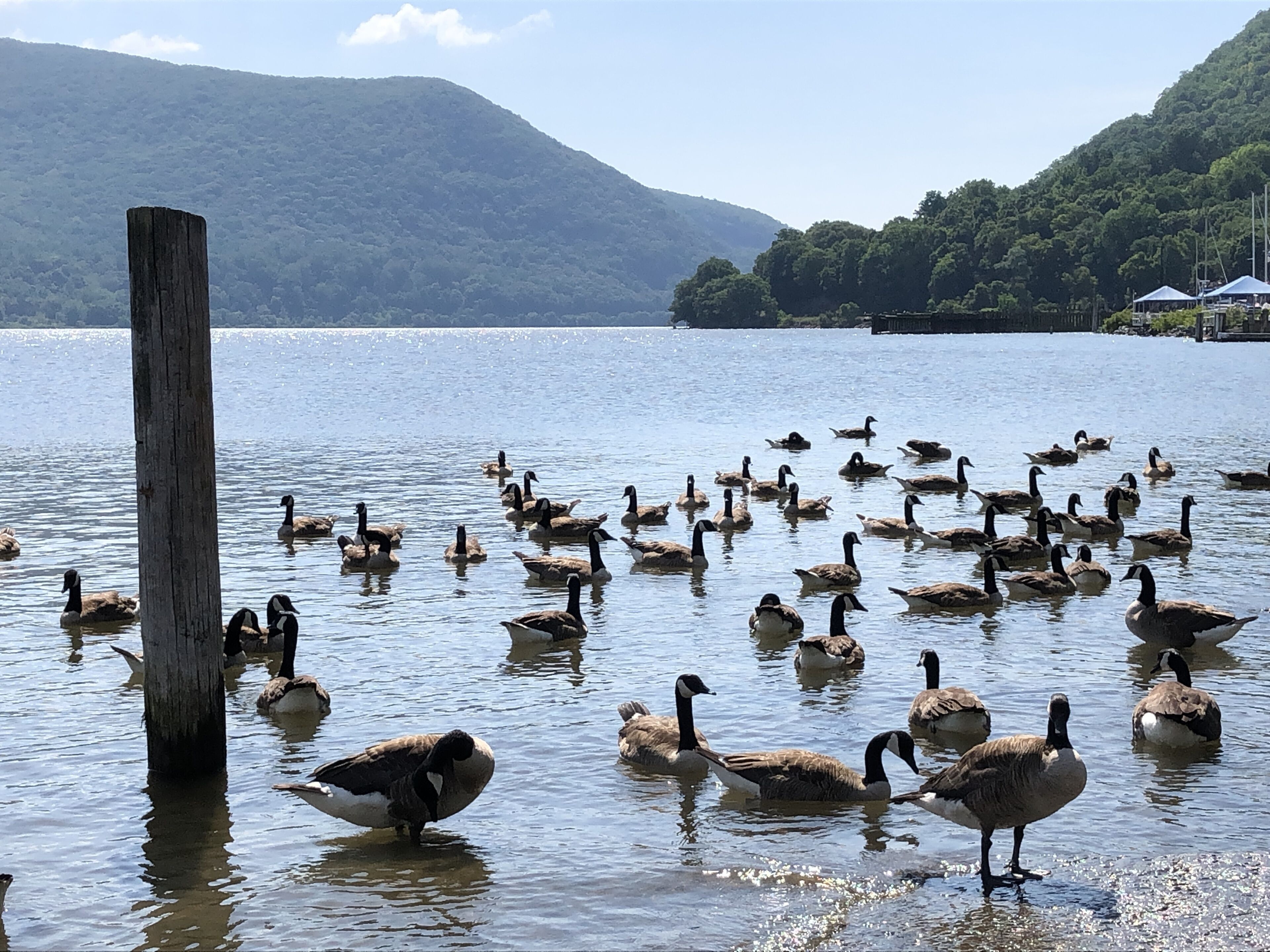 Sun-loungers, beach towels