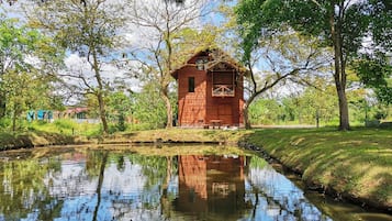 Lake view