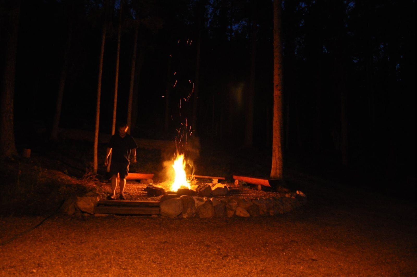 A person standing near a campfire in a forested area at night.