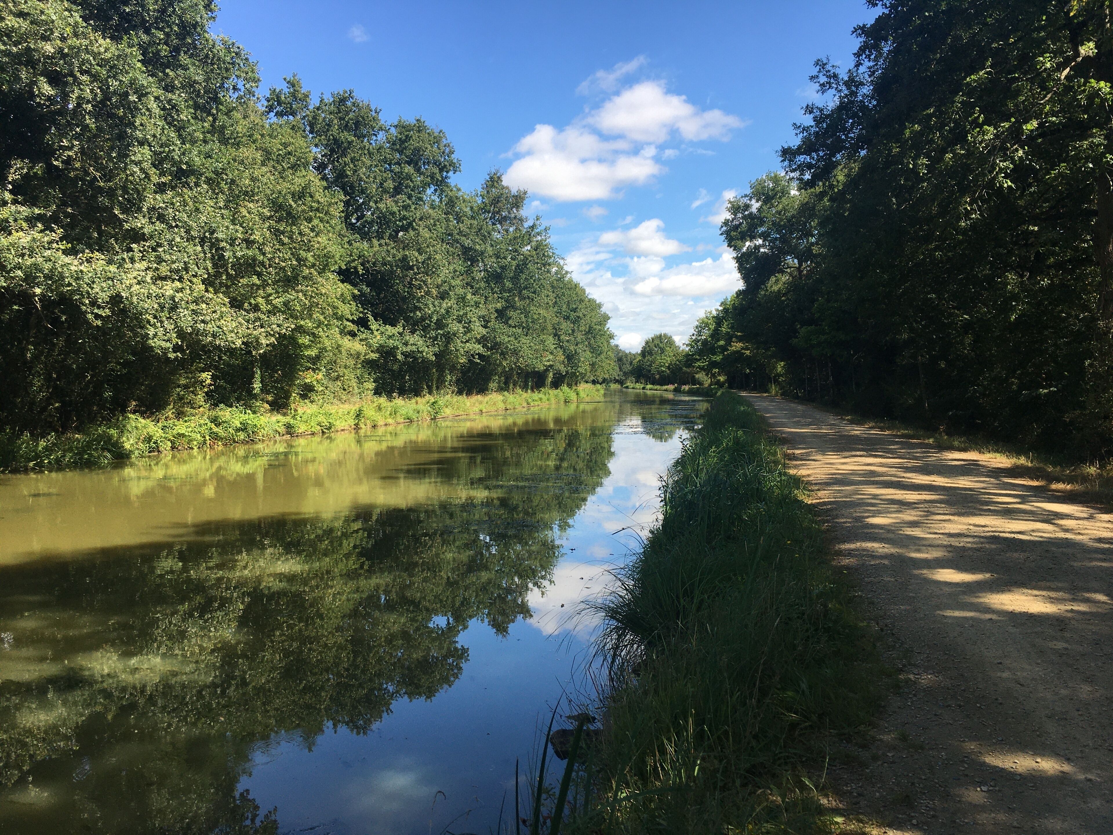 Un río tranquilo flanqueado por árboles densos y un sendero de tierra a su lado.