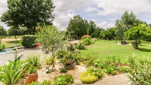 Un jardin bien entretenu, agrémenté de diverses plantes, d’un banc en bois et d’un petit étang.