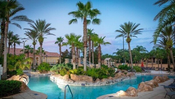 A pool surrounded by palm trees and rocks, with a clear sky in the background.