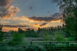Paisaje natural con una valla de madera, árboles y un atardecer.