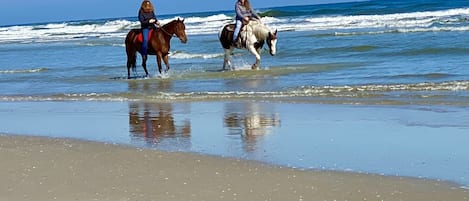 靠近海滩、沙滩椅、沙滩毛巾