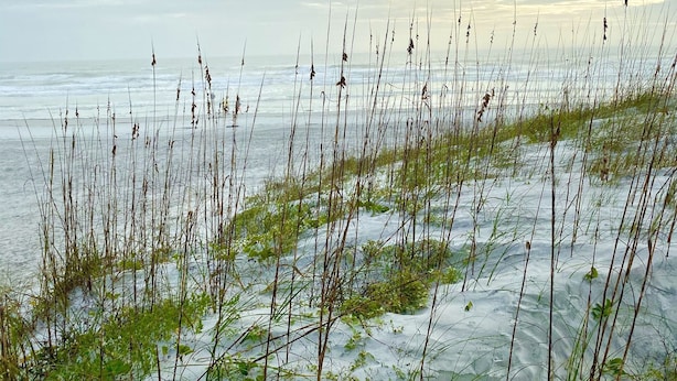 A beach with tall grasses and a cloudy sky. - Relaxing getaway, with picturesque views, & a short walk to St. Augustine beach. (St. Augustine)