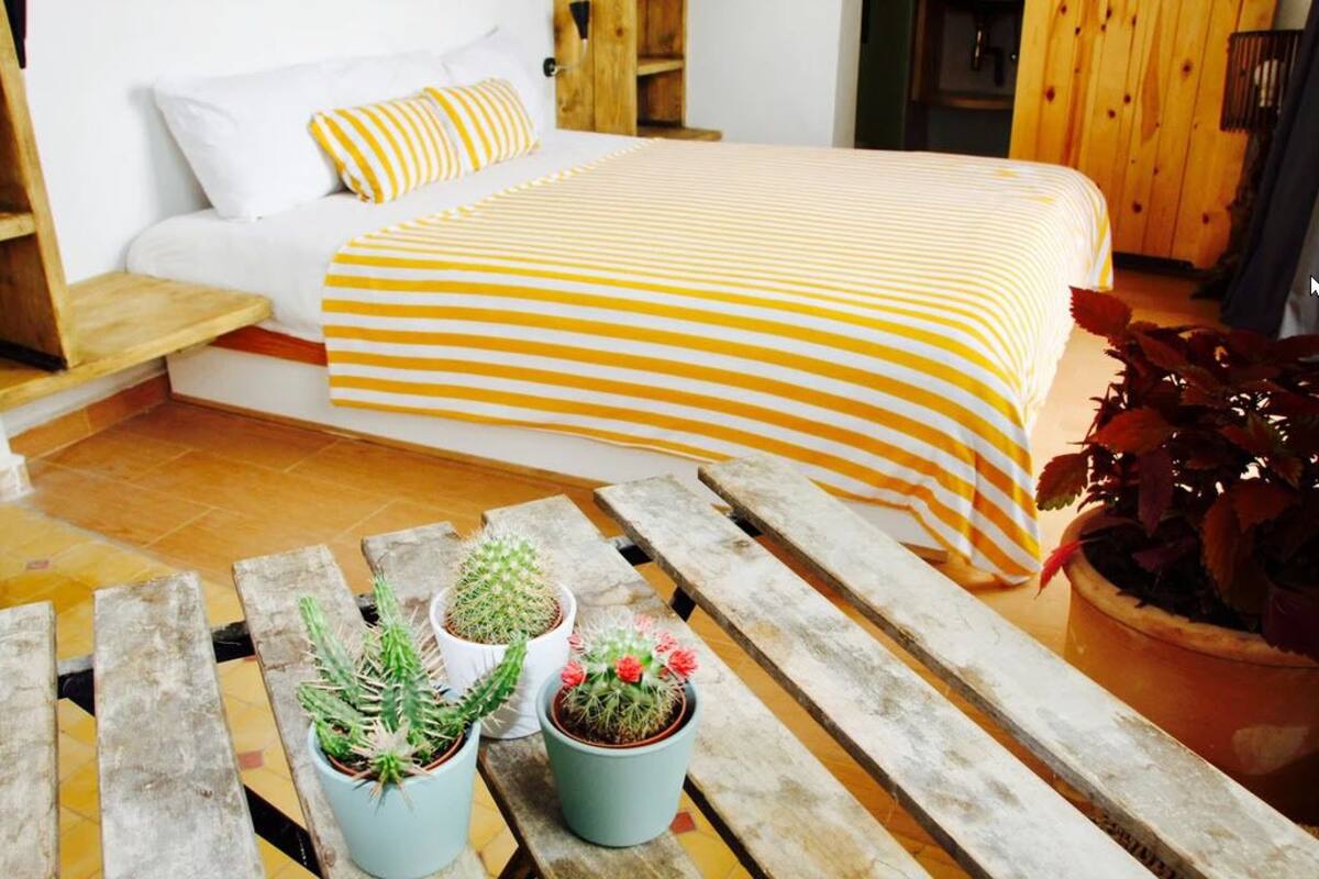 Chambre Double Standard, vue océan