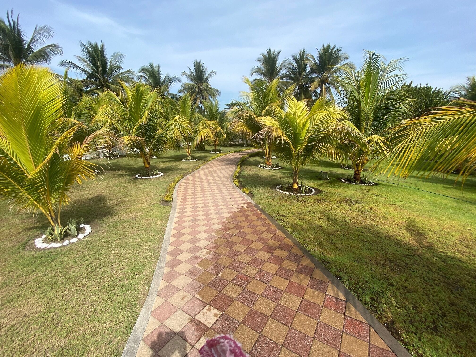 Enceinte de l’hébergement