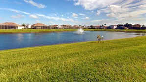 Unclassified image, 5 of 37, button - Hampton Lakes 215840 (Davenport)