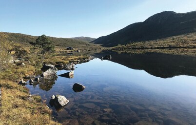 Tjeldøya