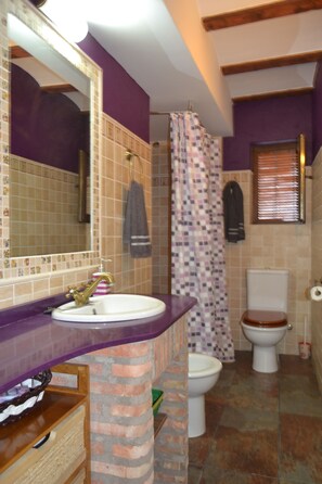 Shower, bidet, towels - La Coveta- Apartamentos Vilapart (Vilafames)