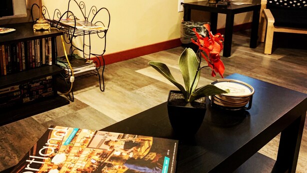 A living room with a coffee table, books, a lamp, a potted plant, and a framed picture on the wall. - Two Rivers Relaxing Retreat  (Portland)