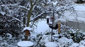 A snow-covered garden with a pathway, bird feeders, and snow-covered bushes. - Two Rivers Relaxing Retreat  (Portland)