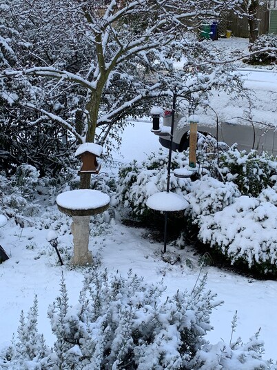 The Relaxing Red Retreat, una nueva y acogedora renovación en un vecindario increíble.