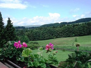 Une vue d’un champ verdoyant, avec une clôture et des arbres en arrière-plan.