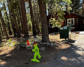 Property grounds