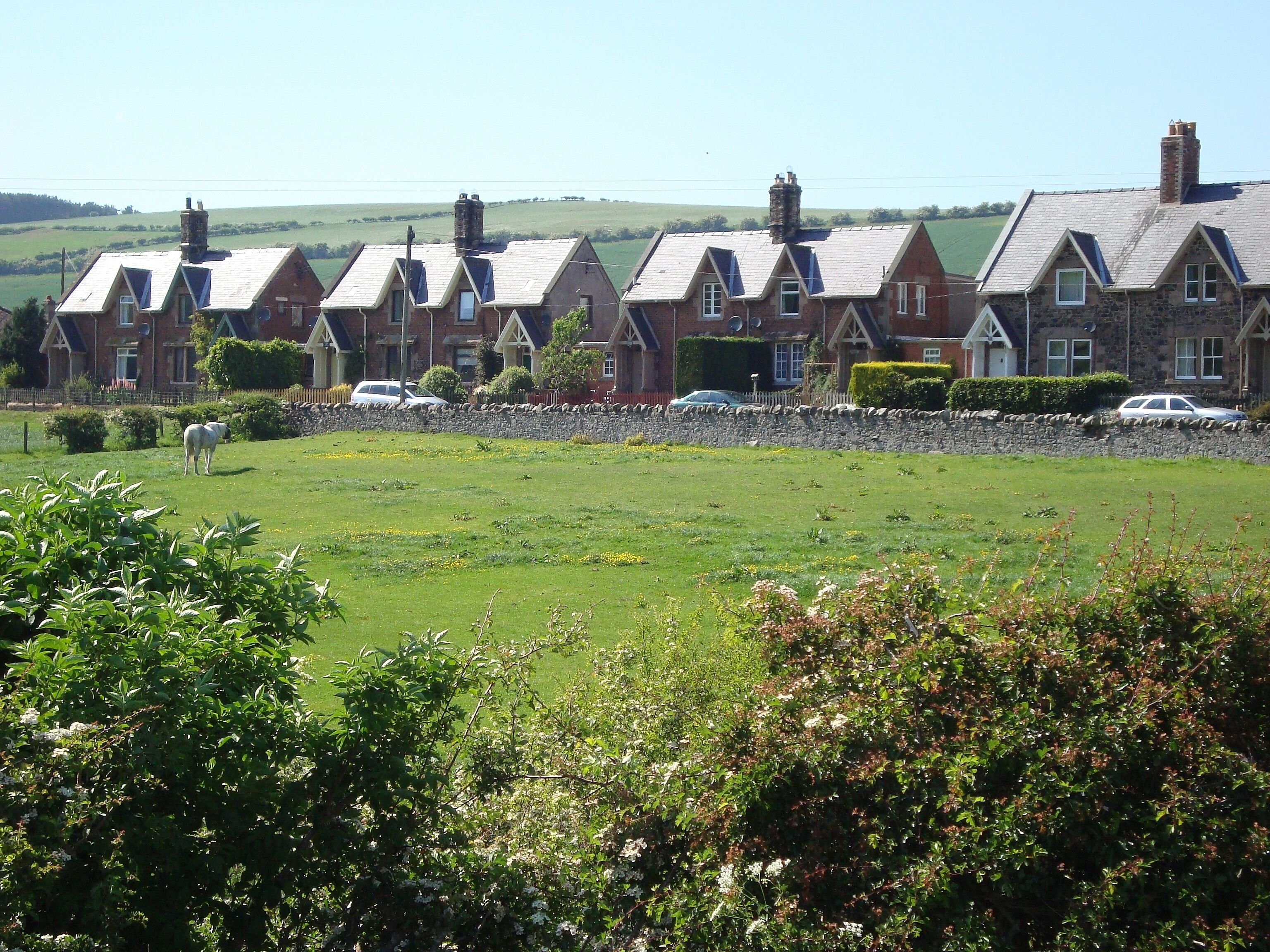 Exteriör